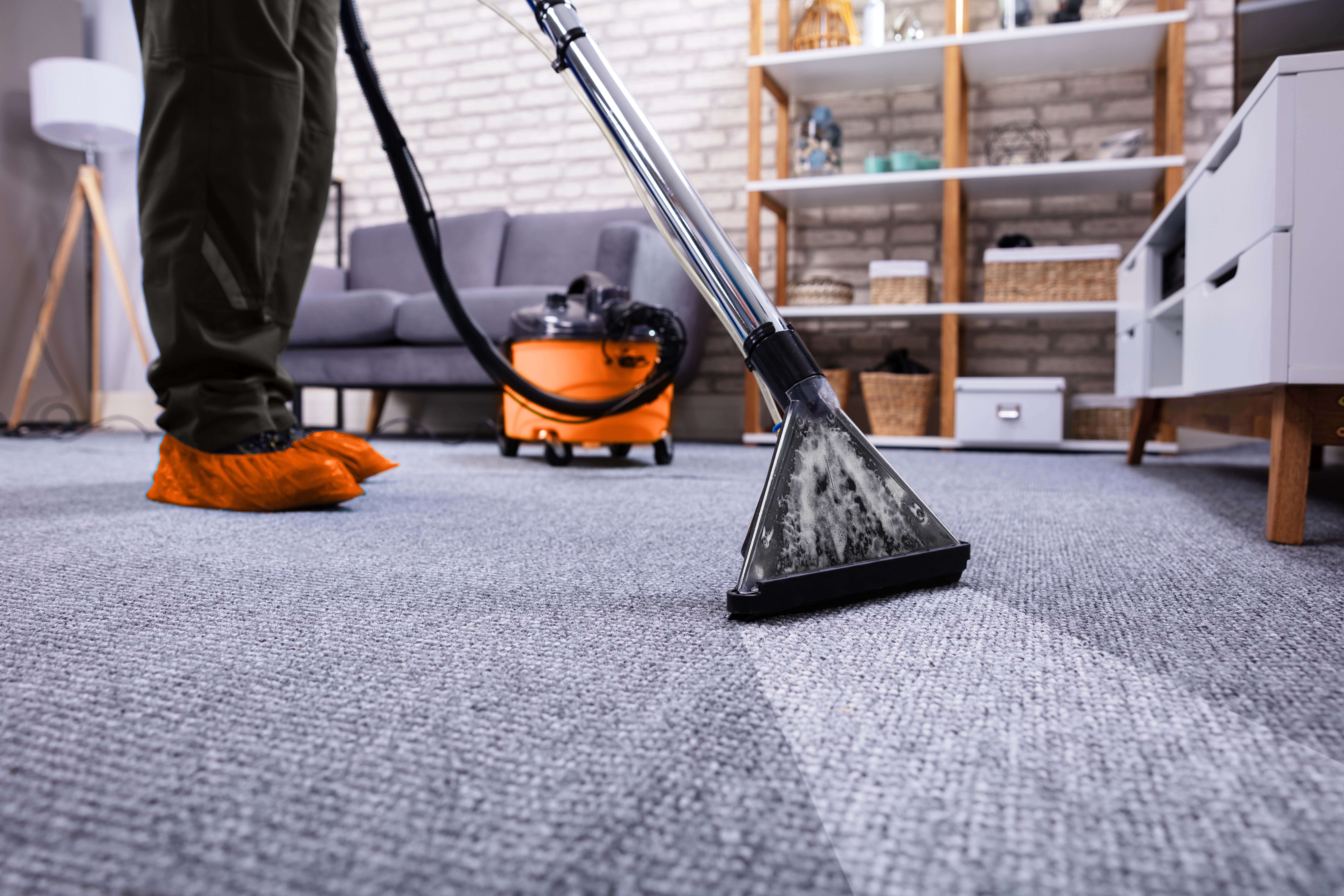 sofa cleaning